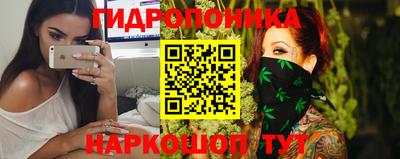 сатива Лесосибирск