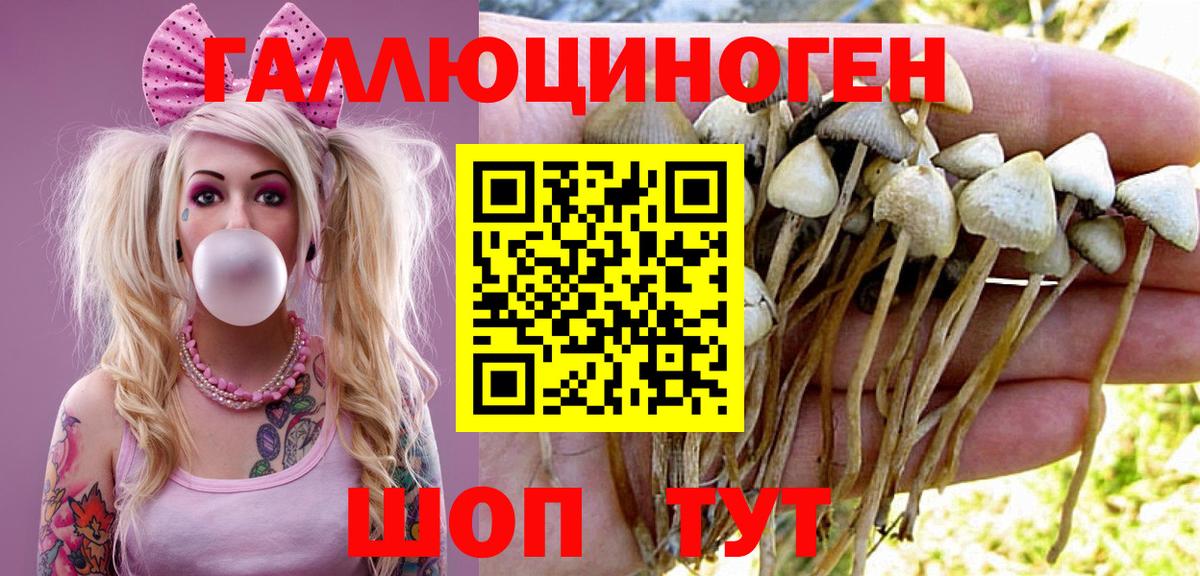 Галлюциногенные грибы прущие грибы  Псилоцибиновые грибы мухоморы  Вход с VPN  купить наркоту  Урус-Мартан 