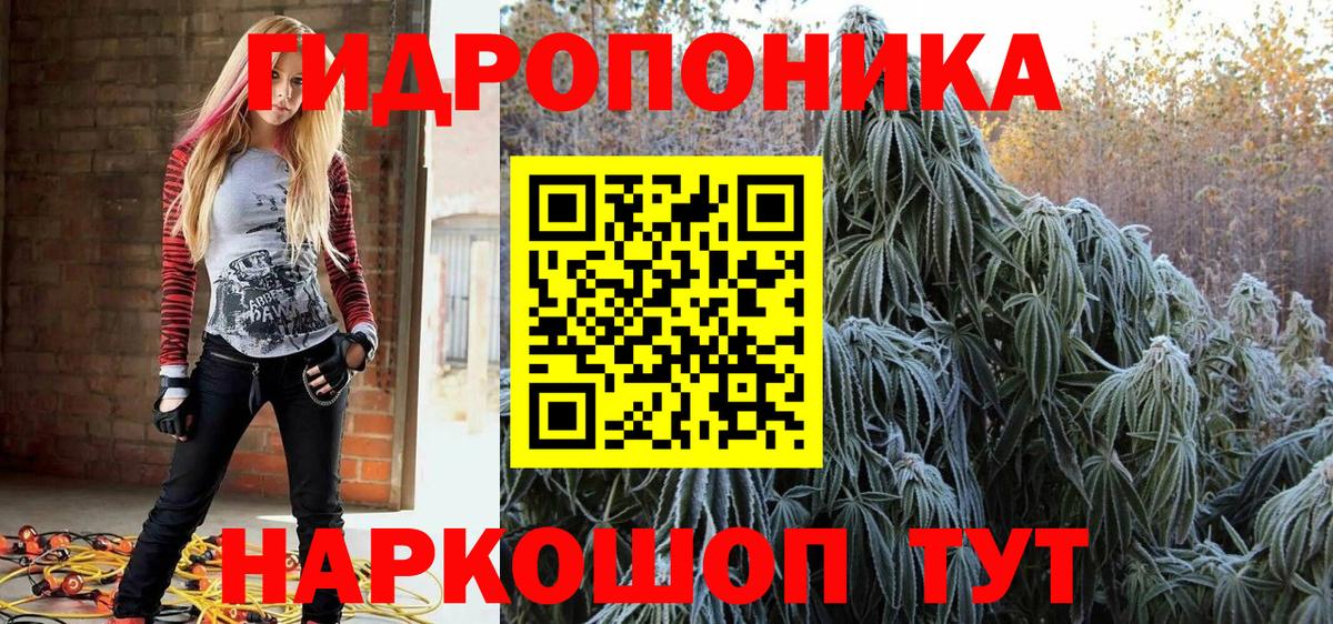 Каннабис индика  Каннабис гибрид  Урус-Мартан  Вход с VPN 